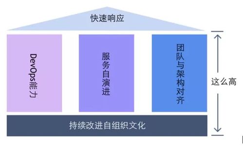 阿里資深架構(gòu)師視角 數(shù)字化轉(zhuǎn)型的新時代技術(shù)底座與項(xiàng)目策劃服務(wù)革新