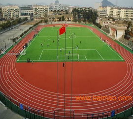 貴州透氣型塑膠跑道選購指南 優質廠家甄別與價格解析