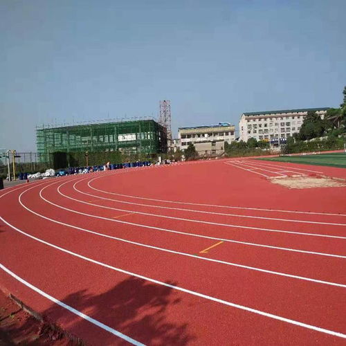 塑膠跑道廠家、材料與價格全解析 復合型塑膠跑道生產指南